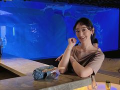 -哈尔滨波塞冬海底世界