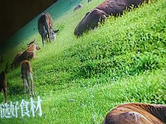 -花田里捞牛火锅(天润店)