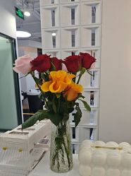 -V7 HAIR SALON