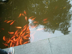 android_upload_pic-浙江省博物馆(孤山馆区)