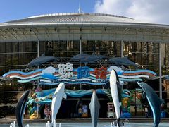 -海合安成都极地海洋公园