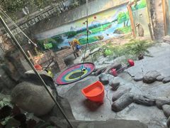 -青藏高原野生动物园