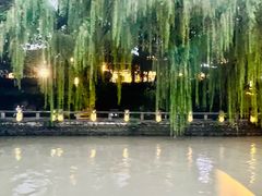 -运河游船(武林门码头)