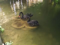 -湖泉半山温泉(湖泉生态园)