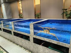 -帝皇海海鲜豆捞(桐泾商务广场店)