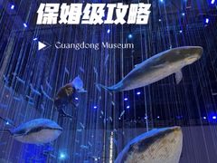 -广东省博物馆