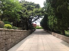 -八大关景区