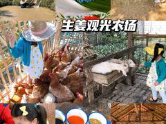 -清迈夜间动物园