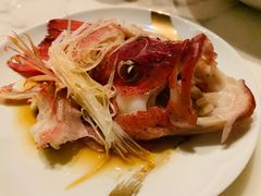 清蒸东星斑-宝丽轩中餐厅BAOLIXUAN