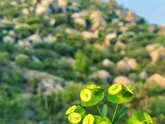 -峄山风景名胜区