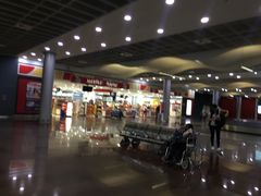 -西沃古尔·拉姆古兰爵士国际机场