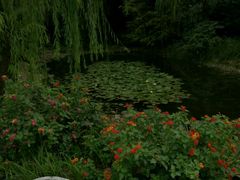 -苏州河梦清园环保主题公园