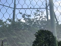 -无锡动物园·太湖欢乐园