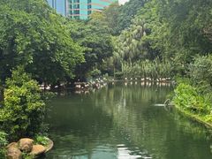 -九龙公园