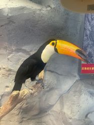 -Zoolung Zoolung动物主题公园(海信广场店)