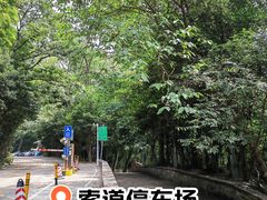 -紫金山山顶公园