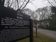 -南山植物园