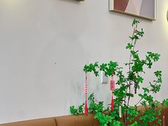 -Reset Coffee 与海咖啡