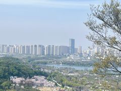 -苏州上方山国家森林公园