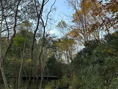 -西湖风景区-江洋畈生态公园