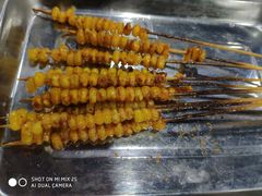-内蒙古海拉尔烤羊腿·烤全羊·烧烤