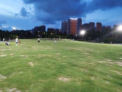 -金鸡岭桥头公园