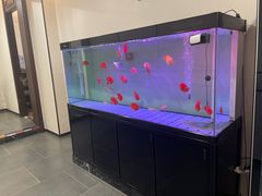 -宁海食府·涌宴(真和店)