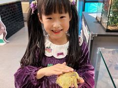 -FAIRYLAND龙族星球主题餐厅(凯丹广场店)