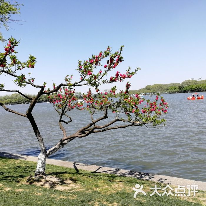 玄武湖公园图片-北京公园-大众点评网