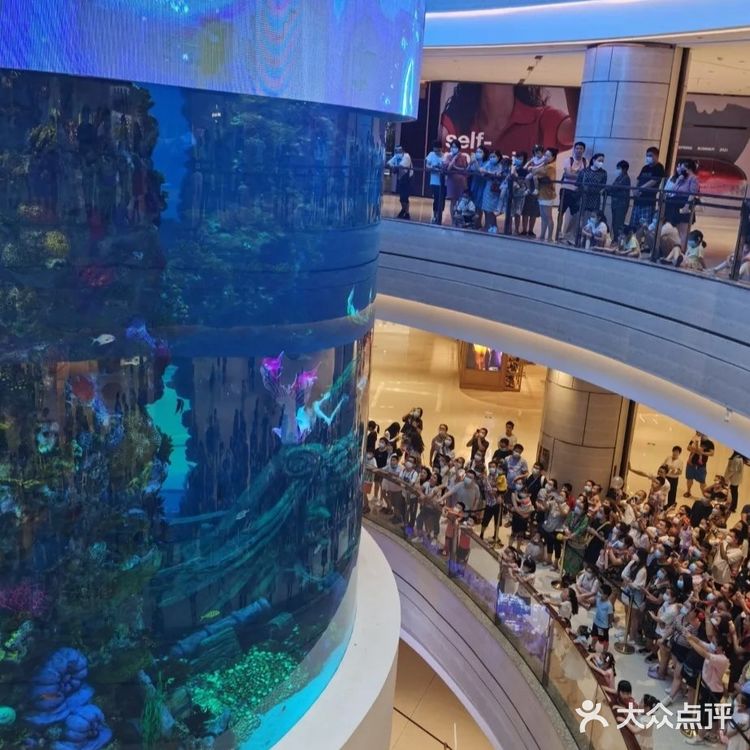 重庆观音桥|星光68广场溜娃or逛街