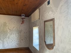 -金山农民画村-枫泾波兰倒置屋