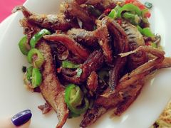 -蛇口康乐快餐鱼仔档(翠苑小区店)