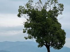 -良渚古城遗址公园