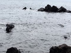 -龙头岩(Dragon Head Rock)
