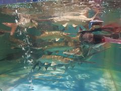 -漓江又一軒·广西菜·桂林米粉(梅林店)