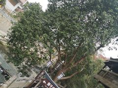 -桂林古东瀑布景区