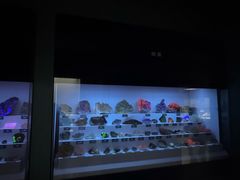 -湖南省地质博物馆