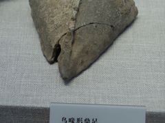 -日照市博物馆