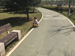 -洨河生态公园