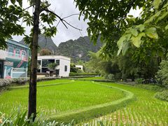 -明仕田园