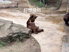 -南宁市动物园
