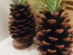 -新城控股新总部大楼