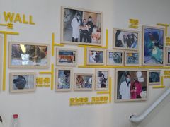 -子乐宠物医院
