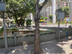 -探窝·竹笙椰子鸡(杨箕店)