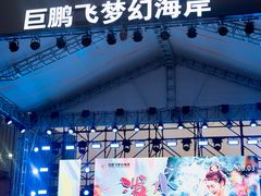 -巨鹏飞梦幻海岸