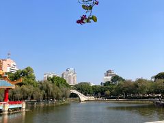 -金砂公园