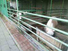 -瑞博尔花园酒店(太周创新产业园店)