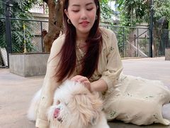 -TrueLove @ Neverland (Husky Cafe)