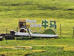 -大姆山草场