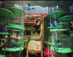 -恐龙探索乐园(磁器口店)